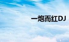 一炮而红DJ（一炮而红）