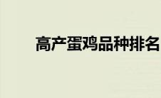 高产蛋鸡品种排名（高产蛋鸡品种）