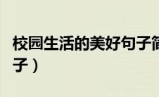 校园生活的美好句子简短（校园生活的美好句子）