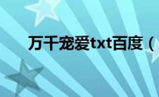 万千宠爱txt百度（万千宠爱txt下载）
