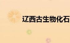 辽西古生物化石（古生物化石）