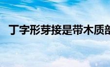 丁字形芽接是带木质部芽接（丁字形芽接）