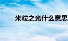 米粒之光什么意思（米粒之歌任务）