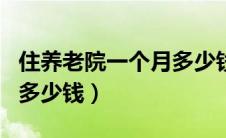 住养老院一个月多少钱合适（住养老院一个月多少钱）