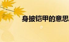 身披铠甲的意思（铠甲的意思）