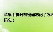 苹果手机开机密码忘记了怎么办才能解开（苹果手机开机密码忘）