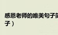 感恩老师的唯美句子简短（感恩老师的唯美句子）