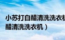 小苏打白醋清洗洗衣机的正确方法（小苏打白醋清洗洗衣机）