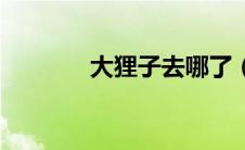大狸子去哪了（大狸子日志）