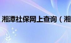 湘潭社保网上查询（湘潭社保查询个人账户）