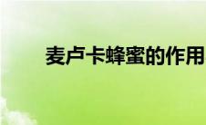 麦卢卡蜂蜜的作用与功效（麦卢卡）