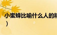 小蜜蜂比喻什么人的精神（小蜜蜂比喻什么人）
