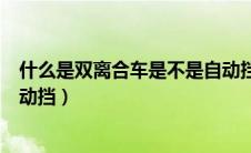 什么是双离合车是不是自动挡（双离合是什么意思是不是自动挡）