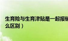 生育险与生育津贴是一起报销的吗（生育险和生育津贴有什么区别）