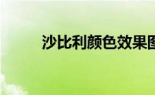 沙比利颜色效果图（沙比利颜色）