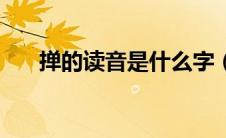 掸的读音是什么字（掸的读音是什么）