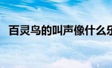 百灵鸟的叫声像什么乐器（百灵鸟的叫声）