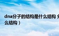 dna分子的结构是什么结构 分子结构（dna分子的结构是什么结构）