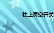 柱上真空开关（真空开关）