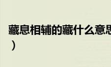 藏息相辅的藏什么意思（藏息相辅是什么意思）