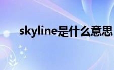 skyline是什么意思（sky是什么意思）