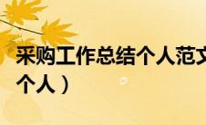 采购工作总结个人范文怎么写（采购工作总结个人）