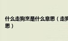 什么走狗烹是什么意思（走狗烹狡兔死良弓藏飞鸟尽什么意思）