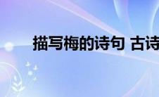 描写梅的诗句 古诗（描写梅的诗句）