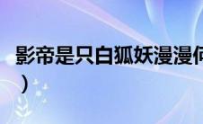 影帝是只白狐妖漫漫何其多（影帝是只白狐妖）