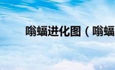 嗡蝠进化图（嗡蝠怎么进化音波龙）