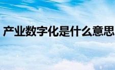 产业数字化是什么意思（数字化是什么意思）