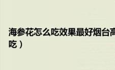 海参花怎么吃效果最好烟台高新区交警五大队（海参花怎么吃）
