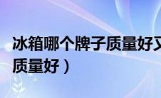 冰箱哪个牌子质量好又省电（小冰箱哪个牌子质量好）