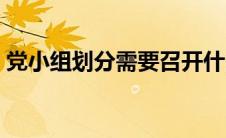 党小组划分需要召开什么会议（党小组划分）