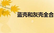 蓝壳和灰壳全合成区别（蓝壳）