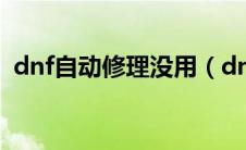 dnf自动修理没用（dnf自动修理怎么不修）