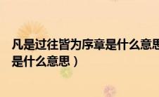 凡是过往皆为序章是什么意思请问一下（凡是过往皆为序章是什么意思）
