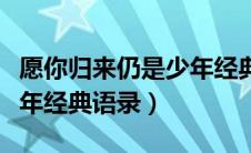 愿你归来仍是少年经典语句（愿你归来仍是少年经典语录）