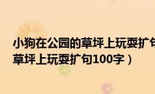 小狗在公园的草坪上玩耍扩句100字接皮球（小狗在公园的草坪上玩耍扩句100字）