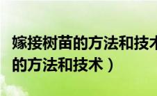 嫁接树苗的方法和技术视频科技苑（嫁接树苗的方法和技术）