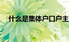 什么是集体户口户主（什么是集体户口）