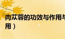 肉苁蓉的功效与作用与主治（苁蓉的功效与作用）