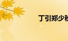 丁引郑少秋（丁引）