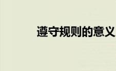 遵守规则的意义（规则的意义）