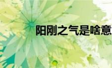 阳刚之气是啥意思（阳刚之气）