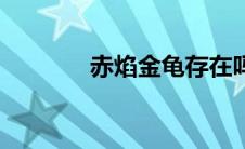 赤焰金龟存在吗（赤焰金龟）