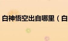 白神悟空出自哪里（白神悟空是龙珠哪一部）