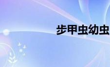 步甲虫幼虫（步甲虫）