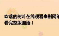 吹落的树叶在线观看泰剧网策驰影院（吹落的树叶泰剧在线看完整版国语）