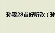 孙露28首好听歌（孙露最好听的几首歌）